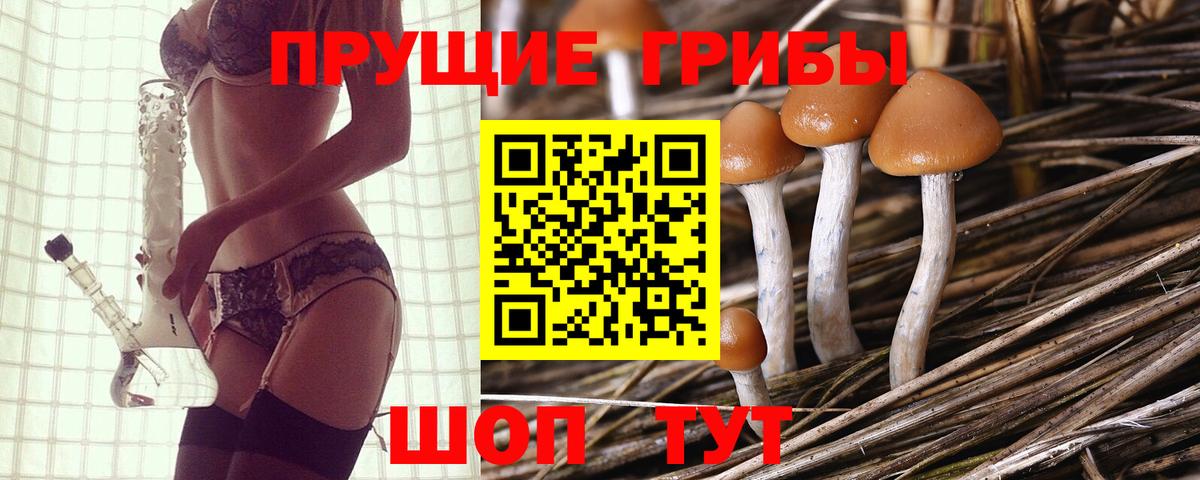 Псилоцибиновые грибы Cubensis  Вход с VPN  Красноармейск 