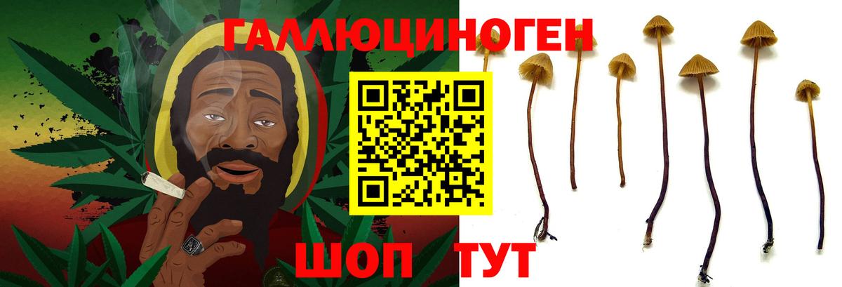MDMA Красноармейск